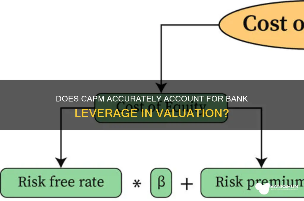does capm properly adjust for leverage banks