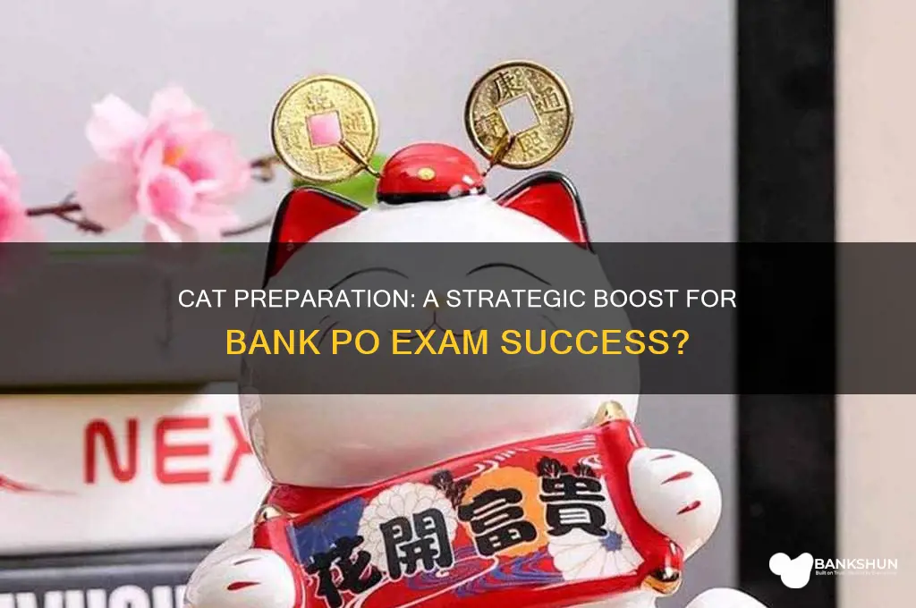 does cat preparation help in bank po