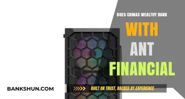 China's Elite: Banking with Ant Financial – A Wealthy Trend?