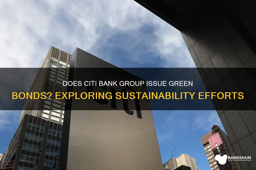 does citi bank group issue green bonds