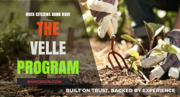Does Citizens Bank Offer the Velle Program? Find Out Here