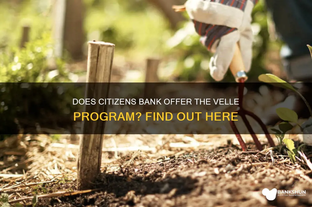 does citizens bank have the velle program
