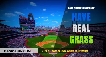 Citizens Bank Park's Field: Real Grass or Artificial Turf?
