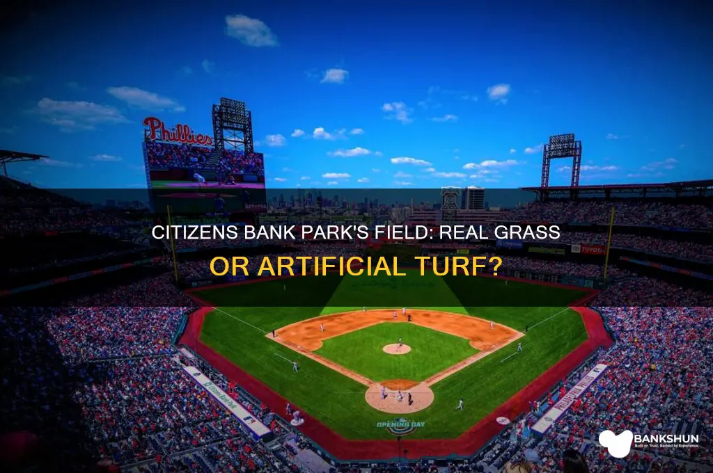 does citizens bank park have real grass