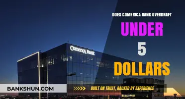 Comerica Bank Overdraft Policy: Does It Apply to Under $5 Transactions?