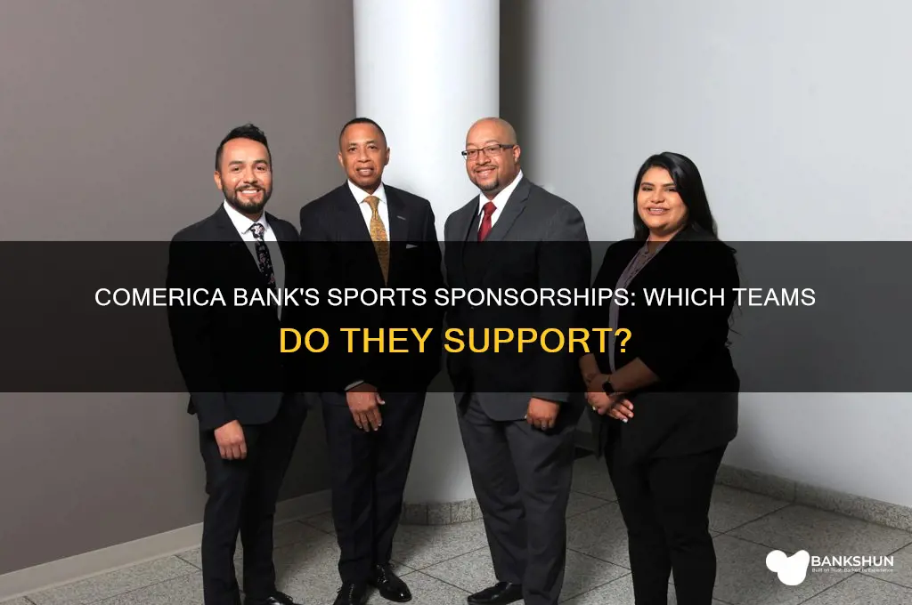 does comerica bank sponsor any sports teams