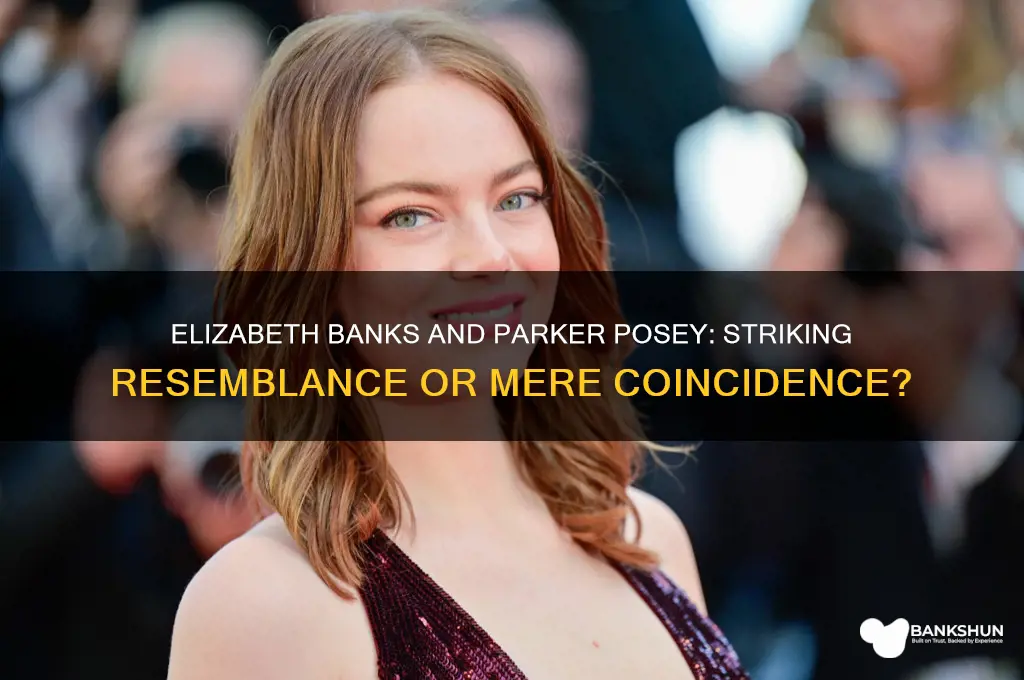 does elizabeth banks look like parker posey