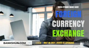 Does Etrade Bank Offer Foreign Currency Exchange Services?