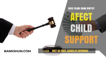 Bankruptcy and Child Support: Understanding the Impact on Obligations