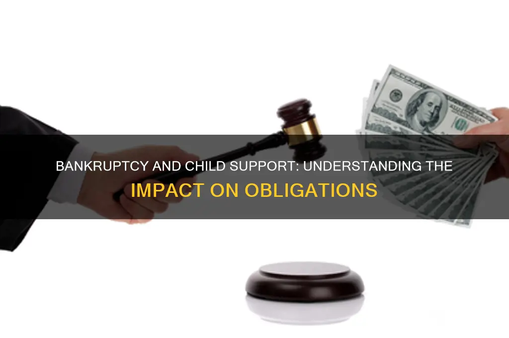 does filing bank ruptcy afect child support