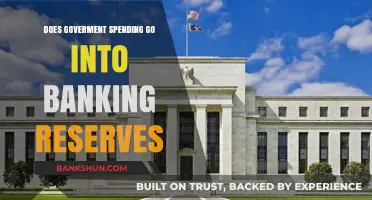How Government Spending Impacts Banking Reserves: A Comprehensive Analysis