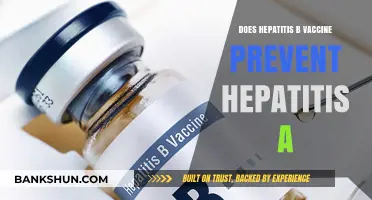 Hepatitis B Vaccine: Does It Protect Against Hepatitis A Too?