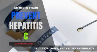 Hepatitis B Vaccine: Does It Protect Against Hepatitis C?