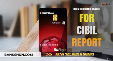 ICICI Bank CIBIL Report Fees: What You Need to Know