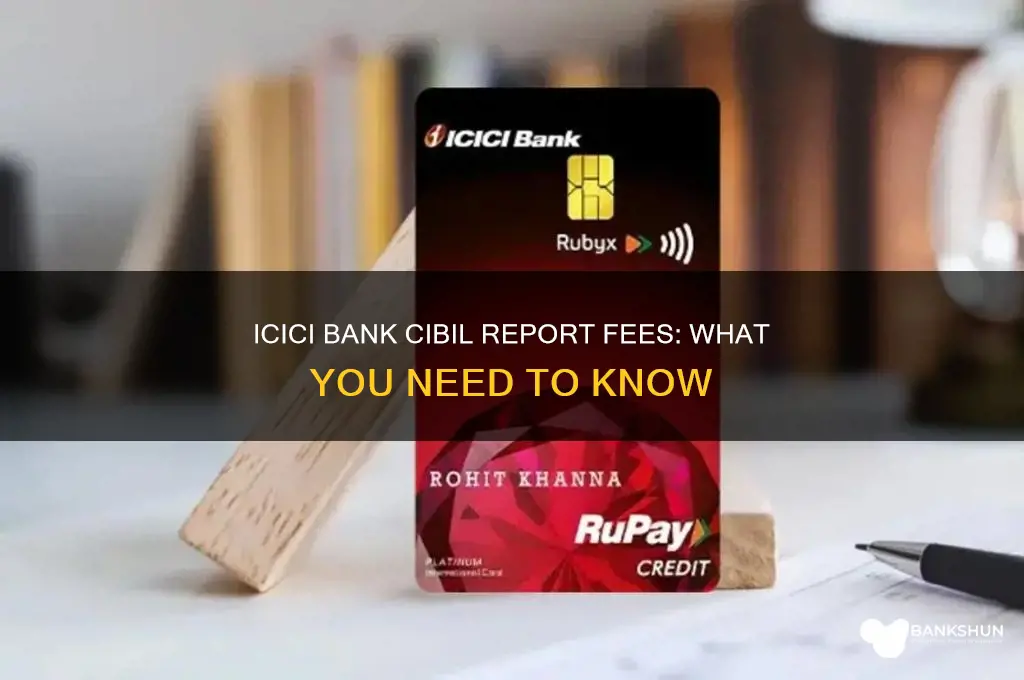 does icici bank charge for cibil report