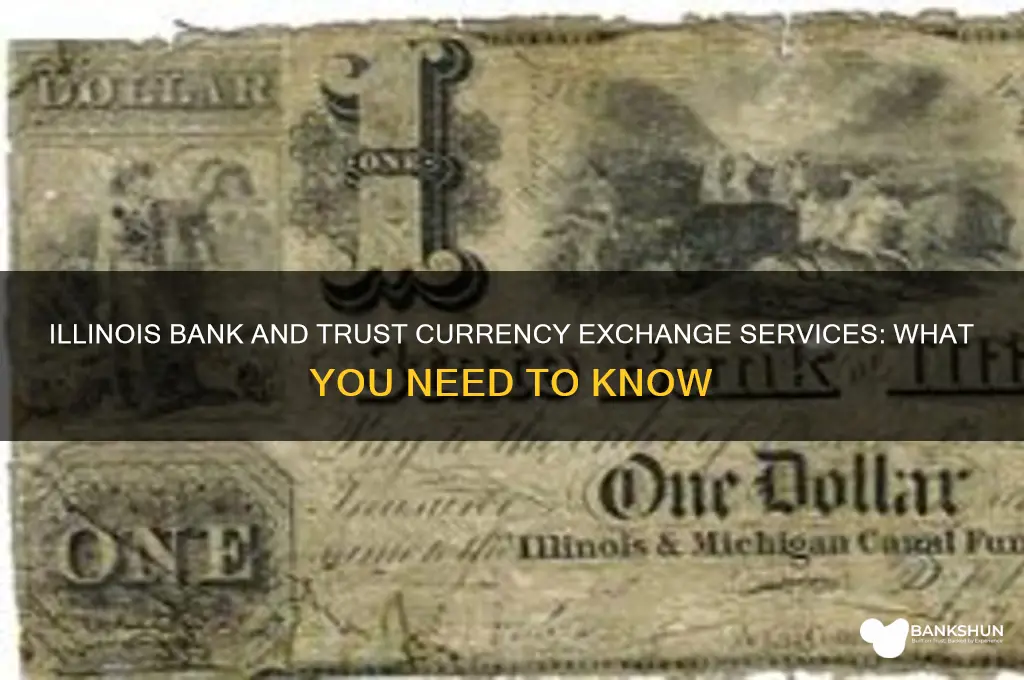 does illinois bank and trust exchange currency