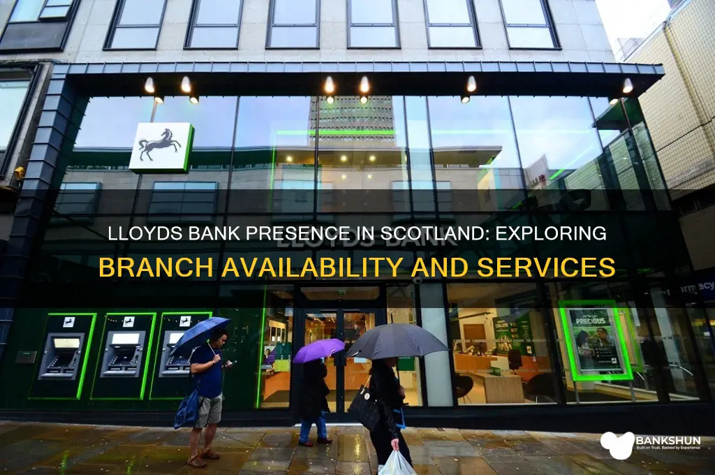 does lloyds bank have branches in scotland