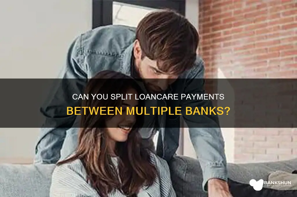does loancare allow payments split between banks