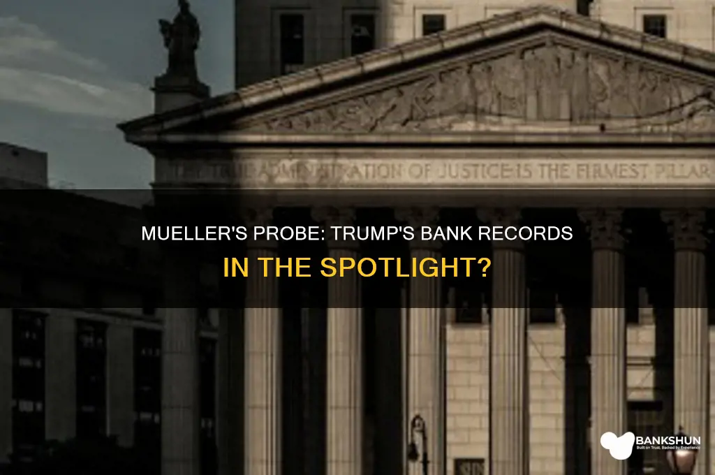 does mueller have trump