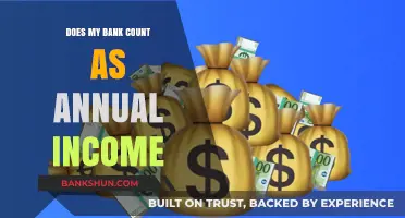 Does Bank Balance Count as Annual Income? Understanding Financial Definitions