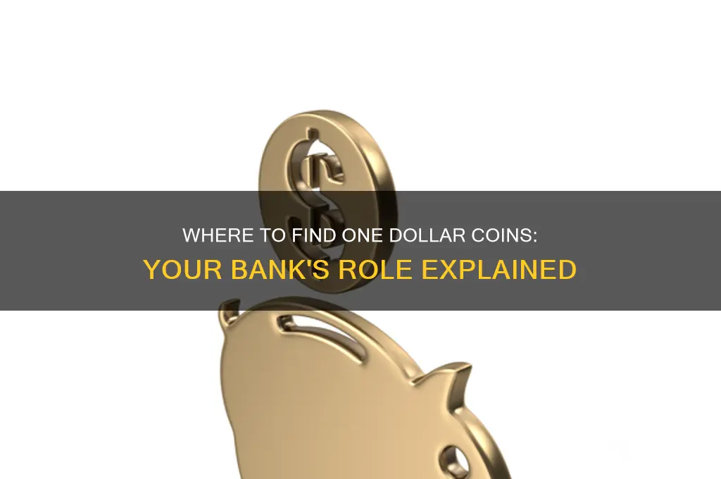 does my bank have one dollar coins
