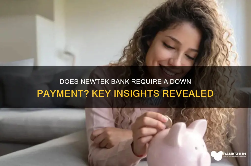 does newtek bank requires a down payment