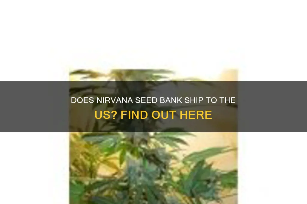 does nirvana seed bank ship to us