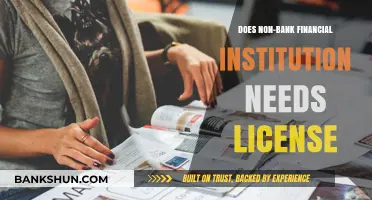 Do Non-Bank Financial Institutions Require Licensing? Key Insights
