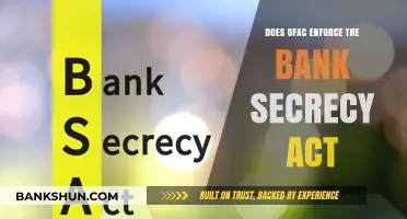 OFAC's Role in Enforcing the Bank Secrecy Act: What You Need to Know