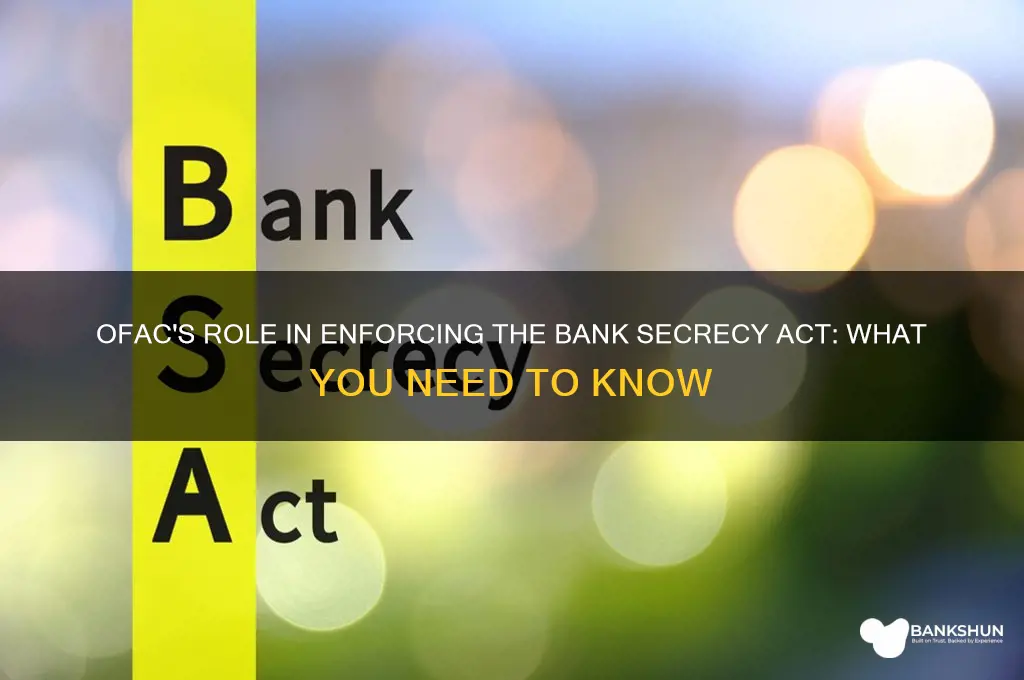 does ofac enforce the bank secrecy act