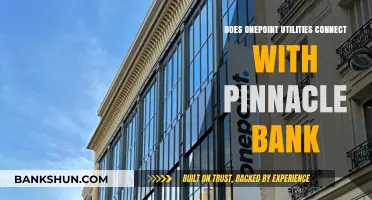 OnePoint Utilities and Pinnacle Bank: Exploring Their Integration Possibilities