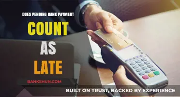 Pending Bank Payments: Are They Considered Late? Understanding Payment Status