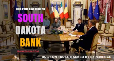 Putin's Hidden Wealth: Investigating South Dakota Bank Connections