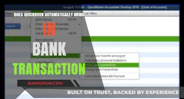 QuickBooks Bank Transactions: Automatic Import or Manual Entry?