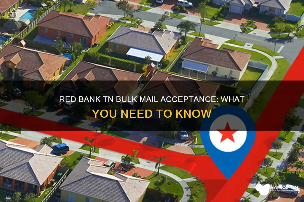 does red bank tn accept bulk mail