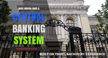 Russia's Central Banking System: Structure, Functions, and Economic Impact