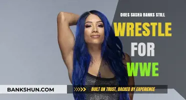 Is Sasha Banks Still Wrestling for WWE?