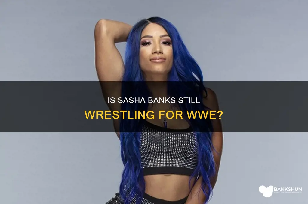 does sasha banks still wrestle for wwe