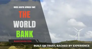 Does South Africa Owe the World Bank? Unraveling the Debt Debate