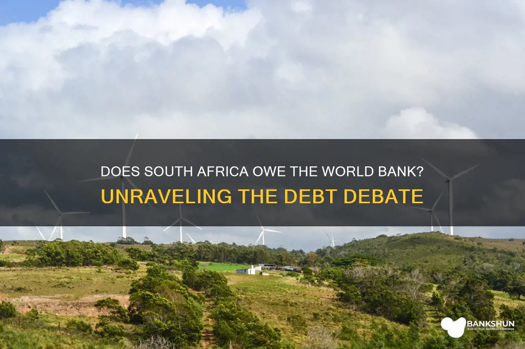 does south africa owe the world bank