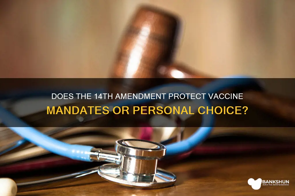 does the 14th amendment apply to vaccines