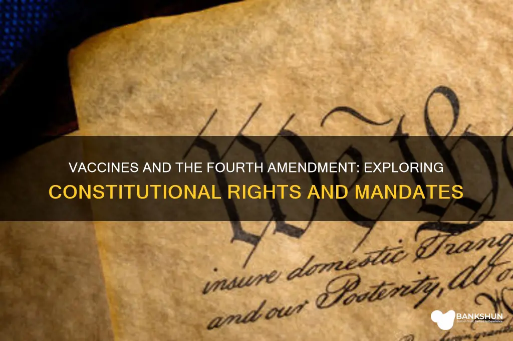 does the 4th amendment apply to vaccines