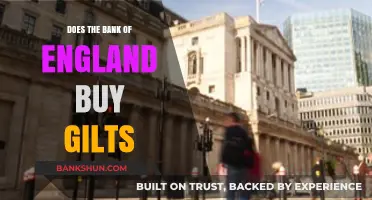 Does the Bank of England Buy Gilts? Understanding Quantitative Easing