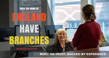 Does the Bank of England Have Branches? Exploring Its Structure