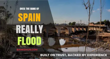 Does the Bank of Spain Really Flood? Uncovering the Truth