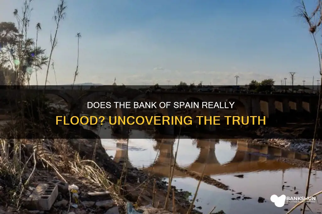 does the bank of spain really flood