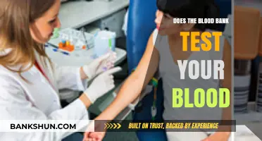 Blood Bank Testing: What Happens to Your Donated Blood?