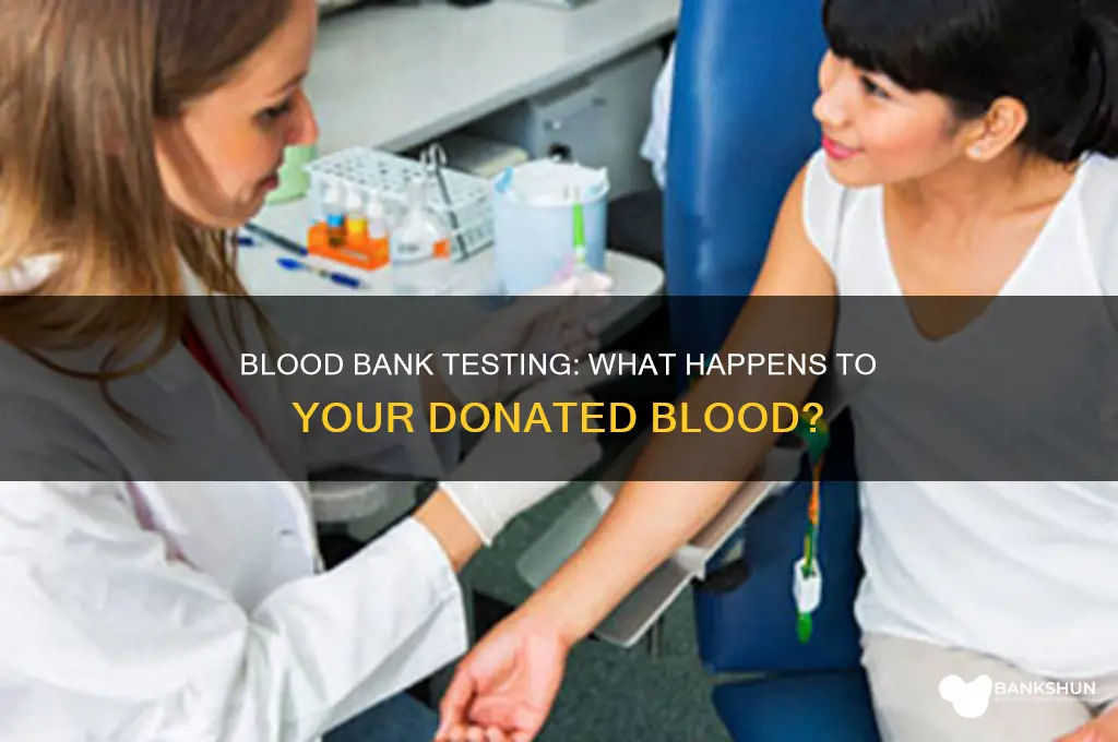 does the blood bank test your blood