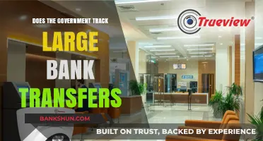 Government Surveillance: Tracking Large Bank Transfers and Financial Privacy Concerns