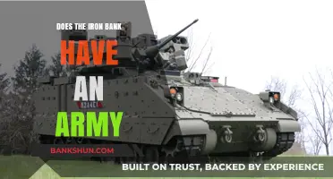 Does the Iron Bank Have an Army? Unraveling the Financial Powerhouse's Military Influence
